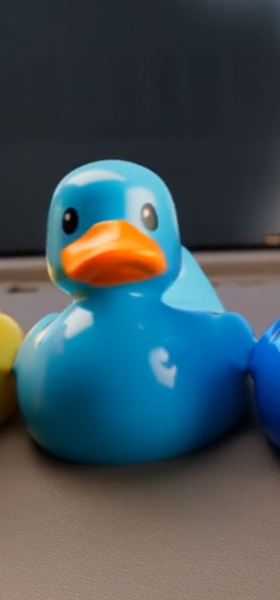 INTERACTING DUCKS!!!!!  for JEEPS DASHBOARDS!!! (Actual Rubber Ducks), that get passed around by JEEP LOVERS  except, these DUCKS HEADS, [Actually moves], (Back and Forth)!!!  (solar) Summer' Latest Trend!, Be the first to Have Them!   Selling "Quackly"